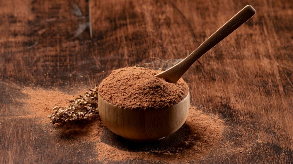 Cocoa Powder Manufacturer in Gurugram