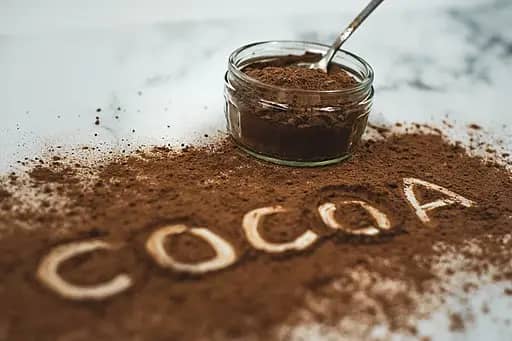 Cocoa Powder Manufacturer