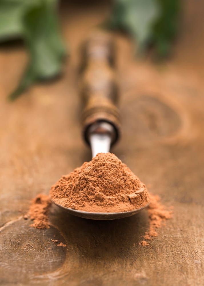 Cocoa Powder Manufacturer in Narnaul