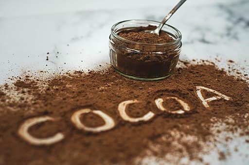 Cocoa Powder Manufacturer in Bihar
